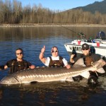 BC Sturgeon