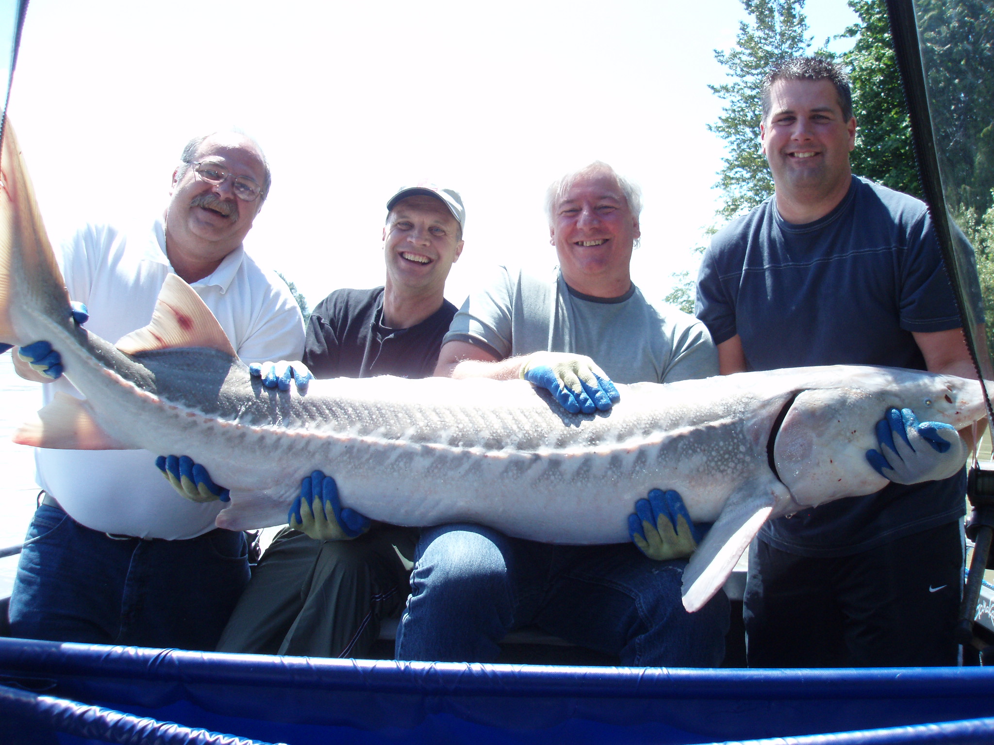 sturgeon fishing